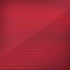 Poland Soccer Flag iPhone X Skin